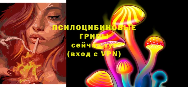 герыч Алексин