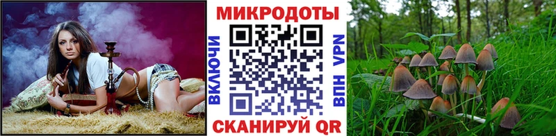 ссылка на мегу сайт  Нарьян-Мар  Галлюциногенные грибы Psilocybine cubensis 
